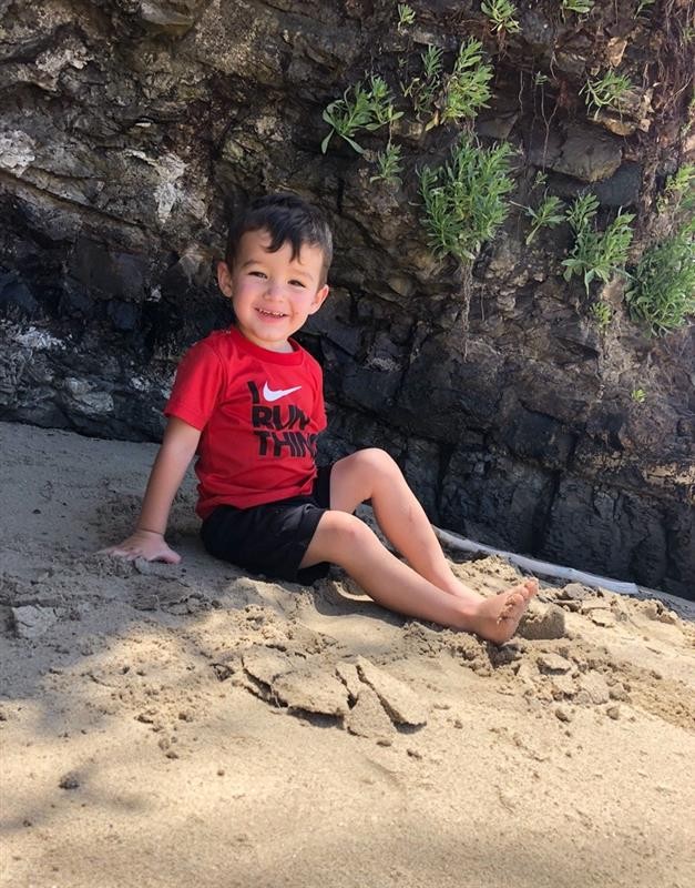 Weston on a rock in the forest
