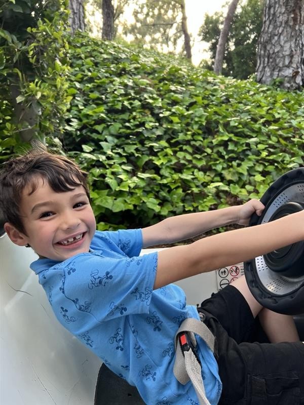 Weston steering wheel